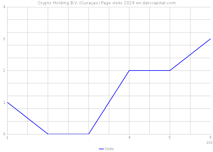 Crypto Holding B.V. (Curaçao) Page visits 2024 