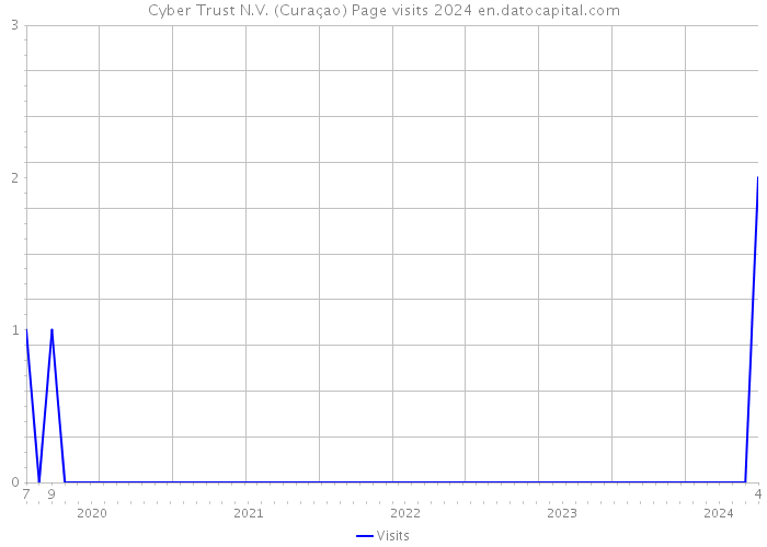 Cyber Trust N.V. (Curaçao) Page visits 2024 