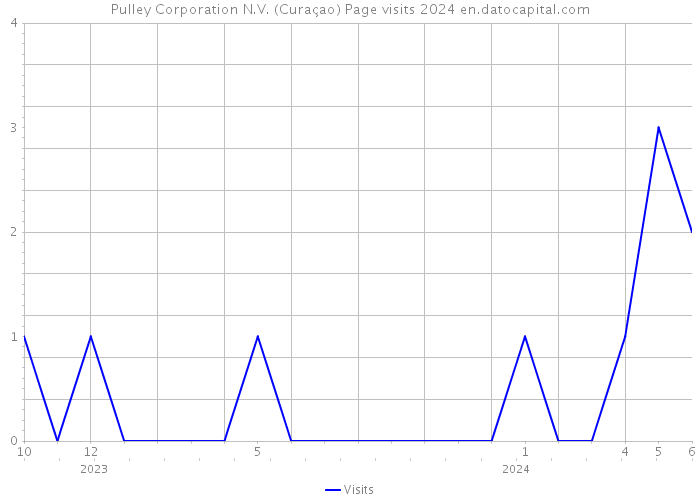 Pulley Corporation N.V. (Curaçao) Page visits 2024 