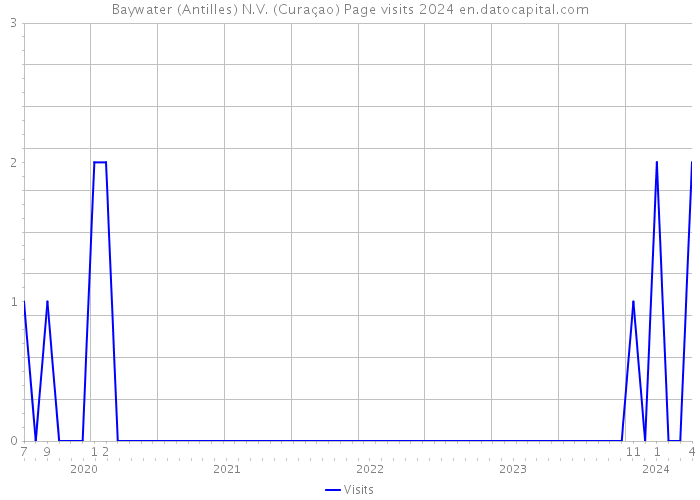 Baywater (Antilles) N.V. (Curaçao) Page visits 2024 