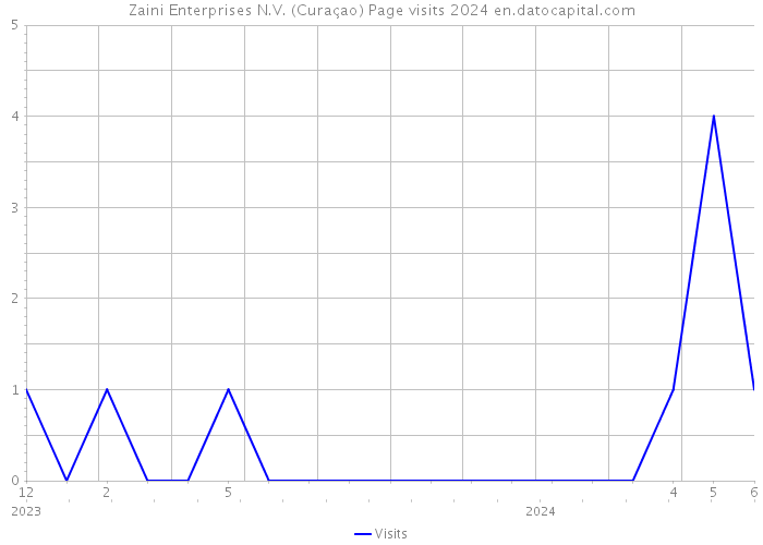 Zaini Enterprises N.V. (Curaçao) Page visits 2024 