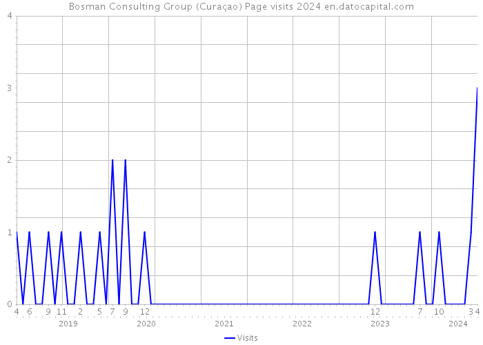 Bosman Consulting Group (Curaçao) Page visits 2024 