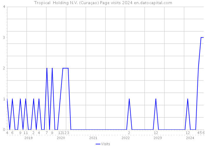 Tropical Holding N.V. (Curaçao) Page visits 2024 