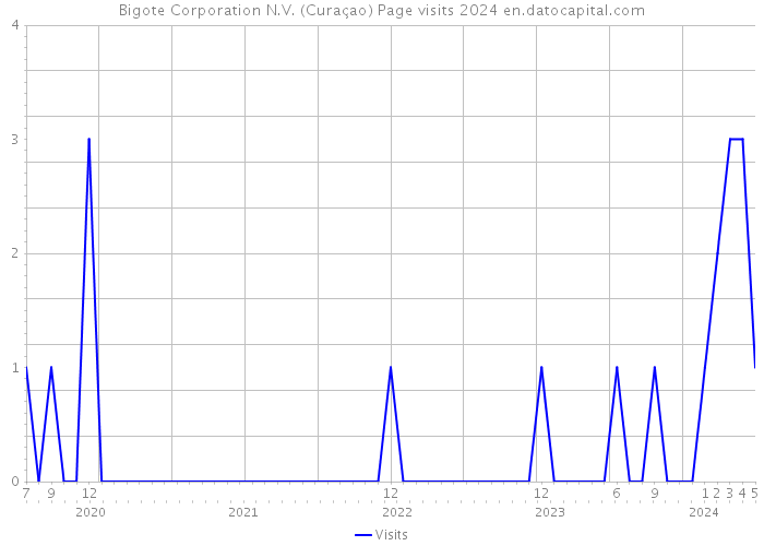 Bigote Corporation N.V. (Curaçao) Page visits 2024 