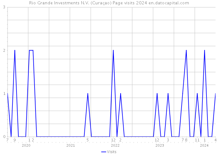 Rio Grande Investments N.V. (Curaçao) Page visits 2024 