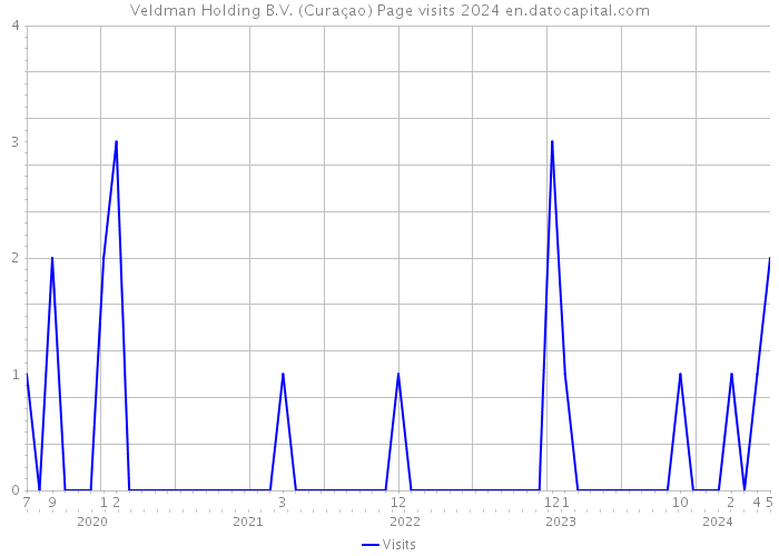 Veldman Holding B.V. (Curaçao) Page visits 2024 