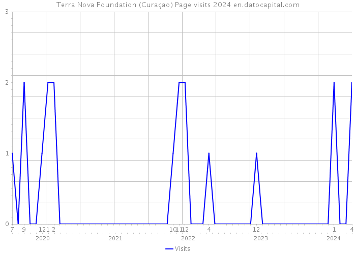 Terra Nova Foundation (Curaçao) Page visits 2024 