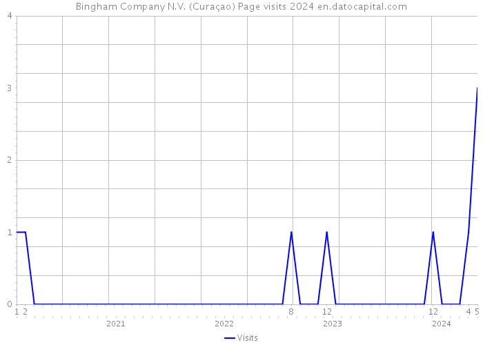 Bingham Company N.V. (Curaçao) Page visits 2024 