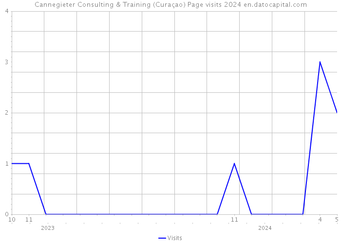 Cannegieter Consulting & Training (Curaçao) Page visits 2024 