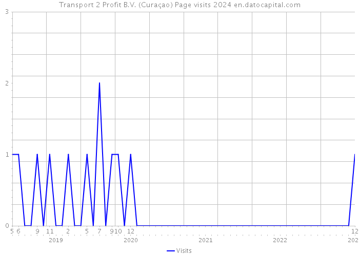 Transport 2 Profit B.V. (Curaçao) Page visits 2024 
