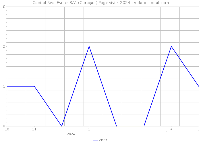 Capital Real Estate B.V. (Curaçao) Page visits 2024 