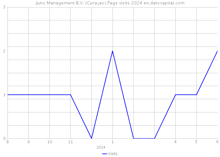 Juno Management B.V. (Curaçao) Page visits 2024 