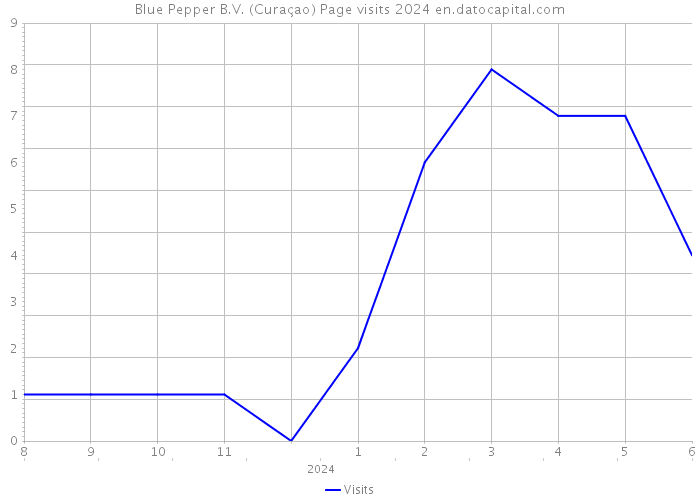 Blue Pepper B.V. (Curaçao) Page visits 2024 