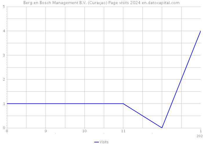 Berg en Bosch Management B.V. (Curaçao) Page visits 2024 