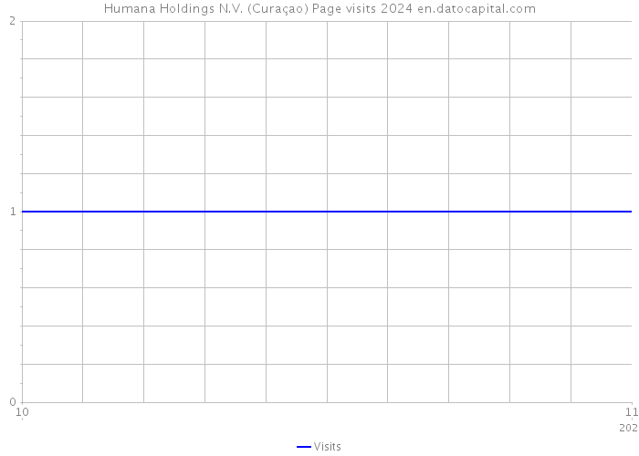 Humana Holdings N.V. (Curaçao) Page visits 2024 