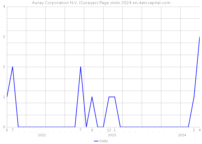 Auray Corporation N.V. (Curaçao) Page visits 2024 