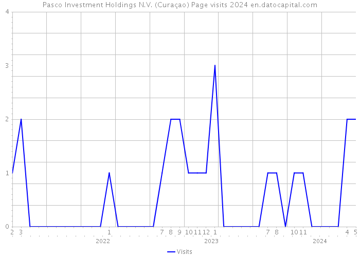 Pasco Investment Holdings N.V. (Curaçao) Page visits 2024 
