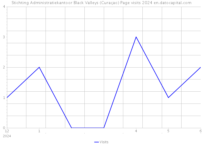 Stichting Administratiekantoor Black Valleys (Curaçao) Page visits 2024 