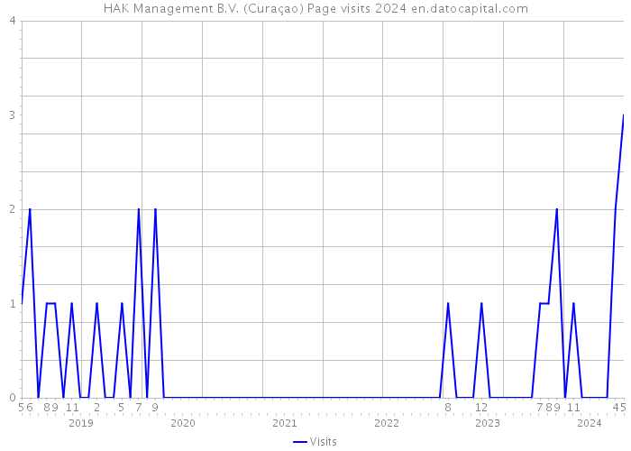 HAK Management B.V. (Curaçao) Page visits 2024 