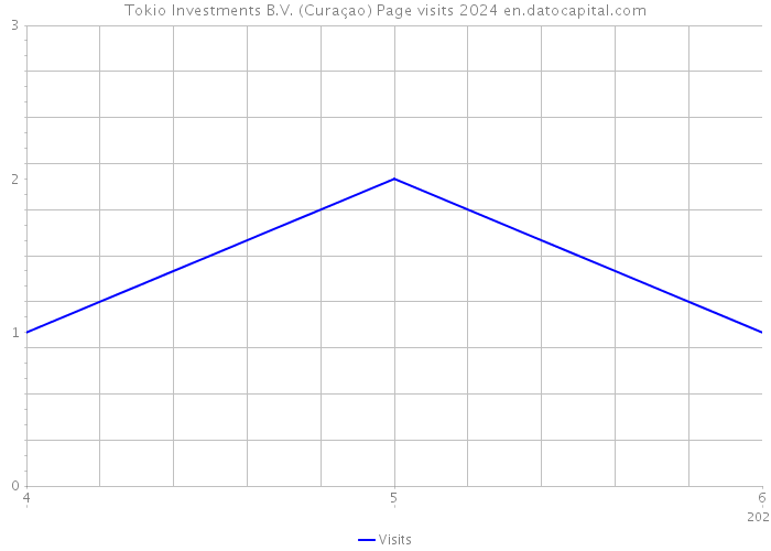 Tokio Investments B.V. (Curaçao) Page visits 2024 