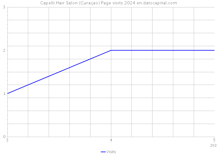 Capelli Hair Salon (Curaçao) Page visits 2024 