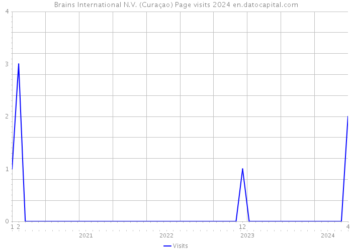 Brains International N.V. (Curaçao) Page visits 2024 