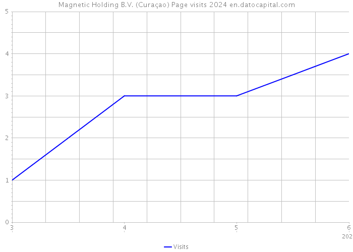 Magnetic Holding B.V. (Curaçao) Page visits 2024 