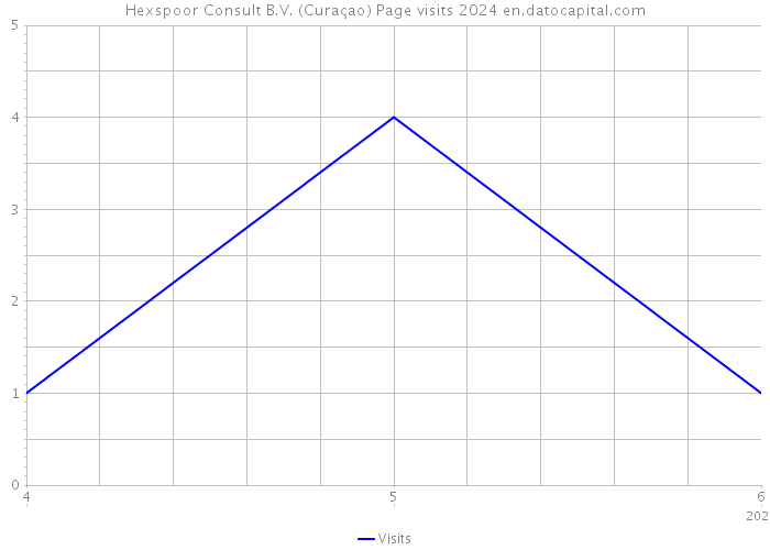 Hexspoor Consult B.V. (Curaçao) Page visits 2024 