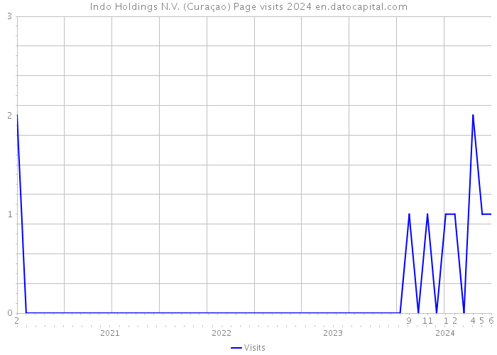 Indo Holdings N.V. (Curaçao) Page visits 2024 