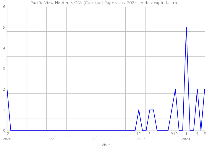 Pacific View Holdings C.V. (Curaçao) Page visits 2024 