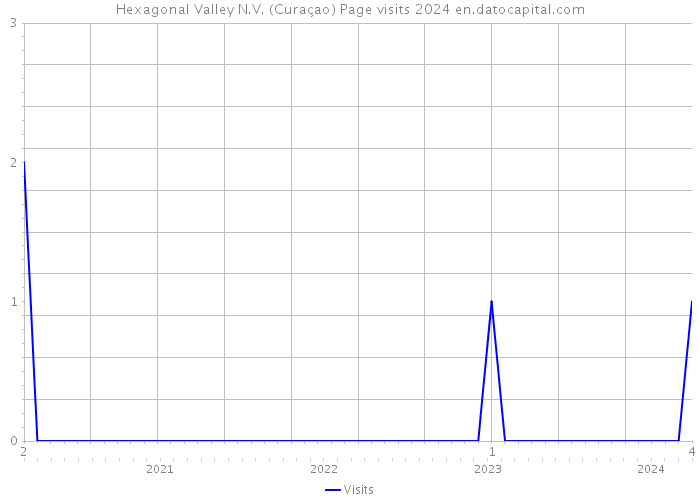 Hexagonal Valley N.V. (Curaçao) Page visits 2024 