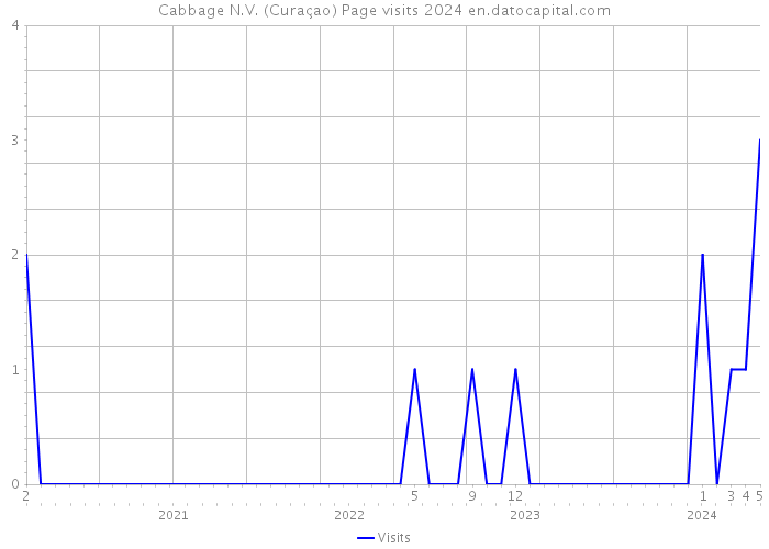 Cabbage N.V. (Curaçao) Page visits 2024 