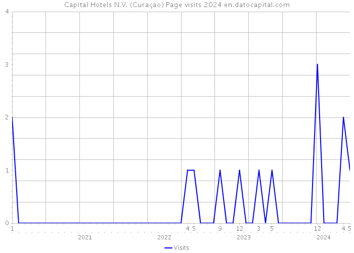 Capital Hotels N.V. (Curaçao) Page visits 2024 