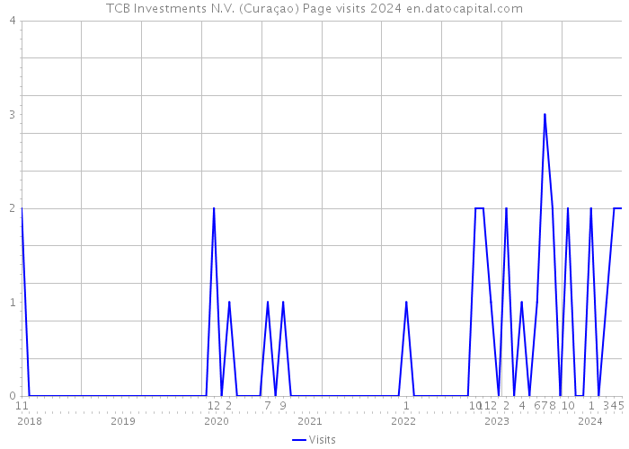 TCB Investments N.V. (Curaçao) Page visits 2024 