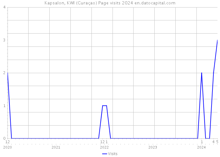 Kapsalon, KWI (Curaçao) Page visits 2024 