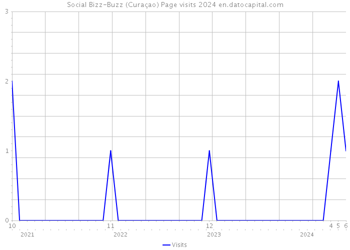 Social Bizz-Buzz (Curaçao) Page visits 2024 