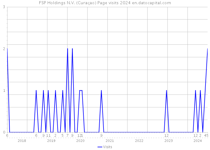 FSP Holdings N.V. (Curaçao) Page visits 2024 