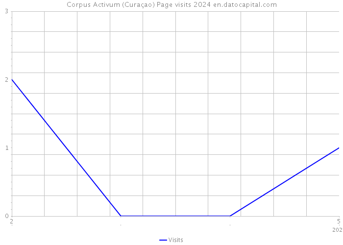 Corpus Activum (Curaçao) Page visits 2024 