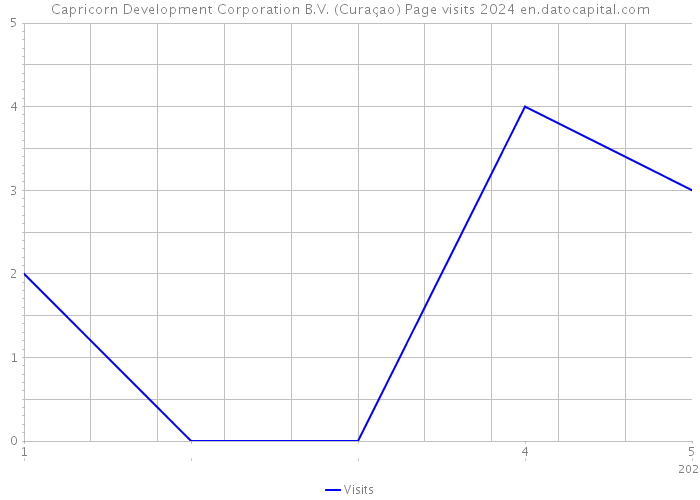 Capricorn Development Corporation B.V. (Curaçao) Page visits 2024 