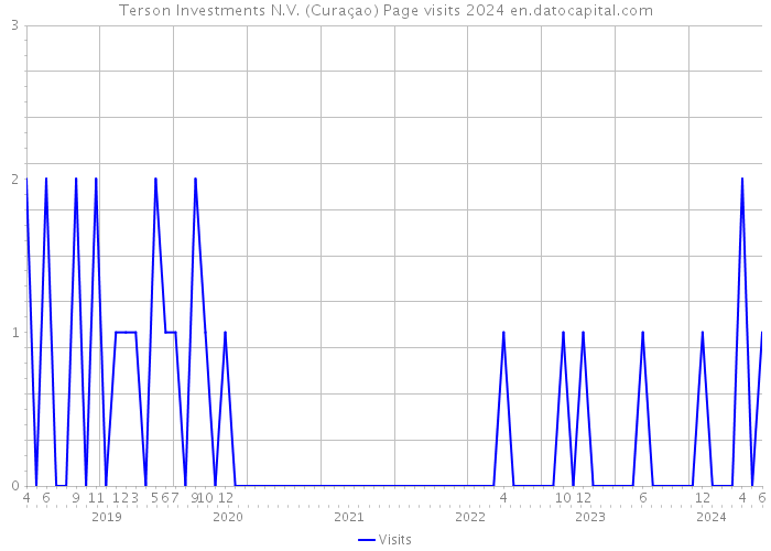 Terson Investments N.V. (Curaçao) Page visits 2024 