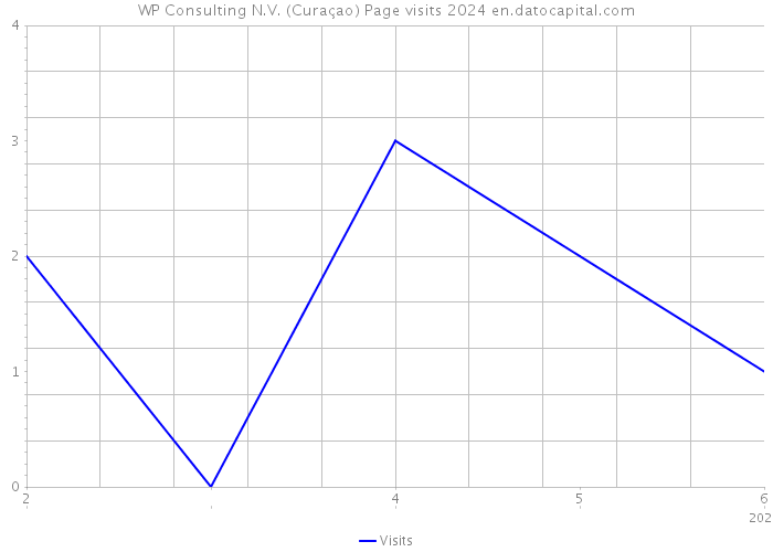 WP Consulting N.V. (Curaçao) Page visits 2024 