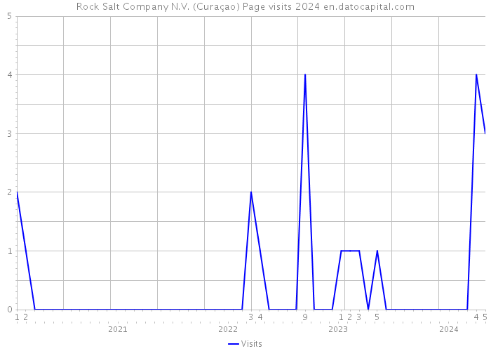 Rock Salt Company N.V. (Curaçao) Page visits 2024 