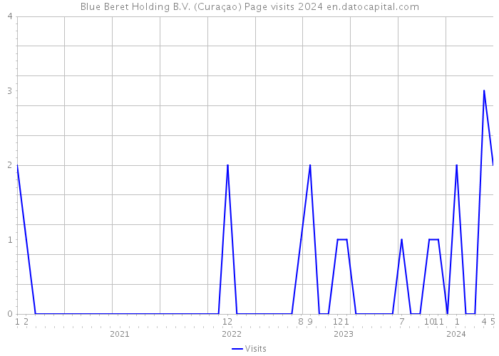 Blue Beret Holding B.V. (Curaçao) Page visits 2024 