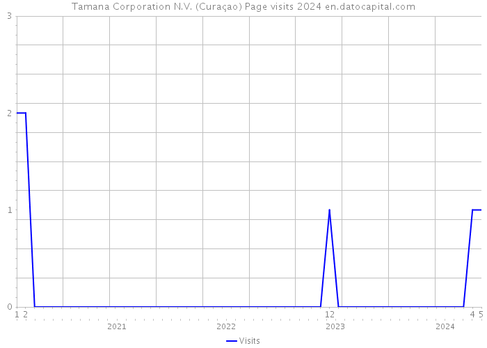 Tamana Corporation N.V. (Curaçao) Page visits 2024 