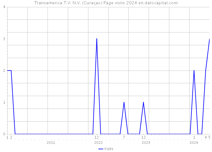 Transamerica T.V. N.V. (Curaçao) Page visits 2024 