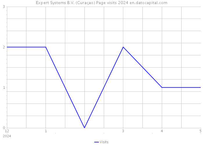 Expert Systems B.V. (Curaçao) Page visits 2024 