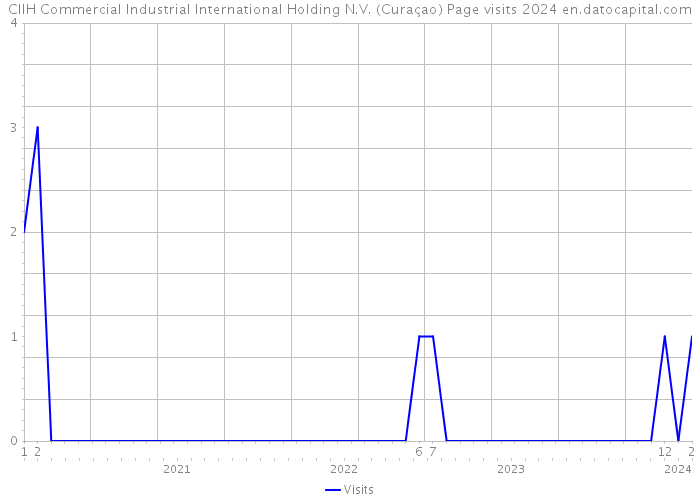 CIIH Commercial Industrial International Holding N.V. (Curaçao) Page visits 2024 