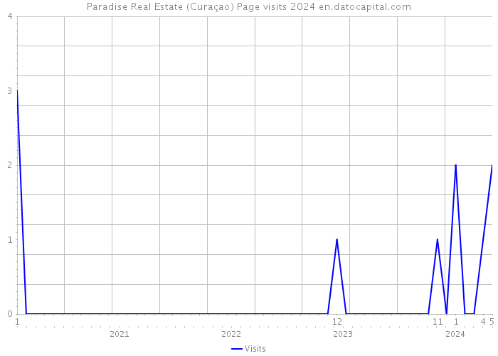 Paradise Real Estate (Curaçao) Page visits 2024 