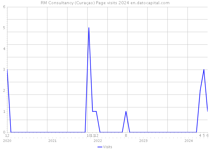 RM Consultancy (Curaçao) Page visits 2024 