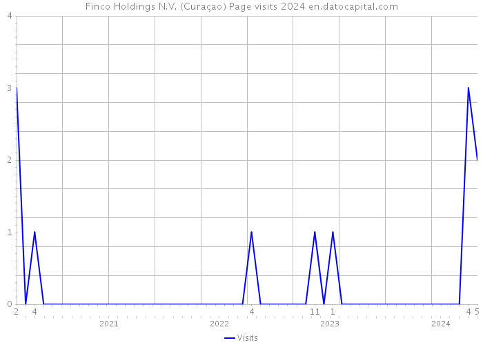 Finco Holdings N.V. (Curaçao) Page visits 2024 